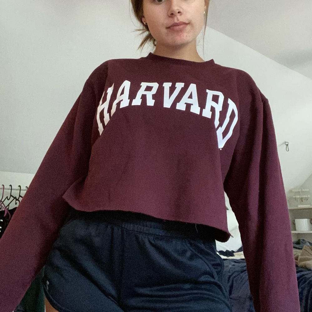 Champion cropped Harvard hoodie